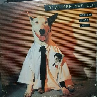 Portada de Working Class Dog