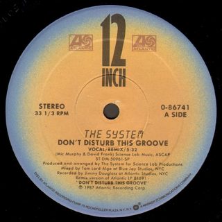 Portada de Don't Disturb This Groove