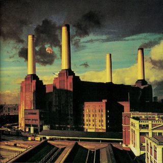 Portada de Animals.
