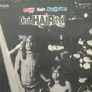 Portada de DisinHAIRited