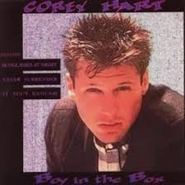 Portada de Boy In The Box