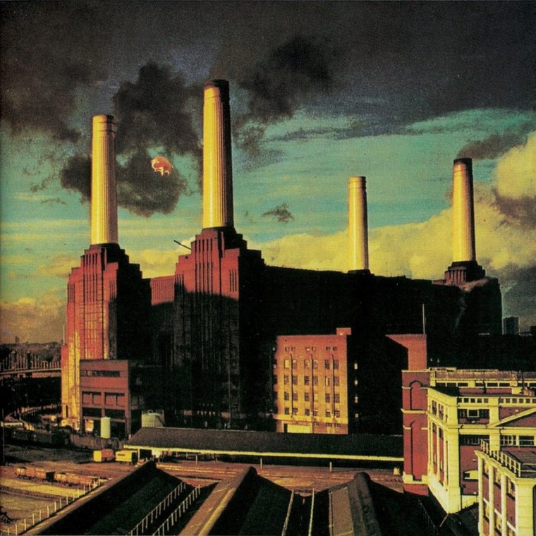 Portada de Animals.